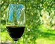 Бокал вина в день защитит от инсульта