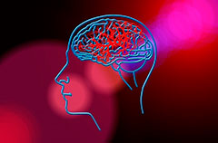 Гидрогель восстановил нервные клетки